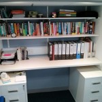 Two shelves of books and lever arch files
